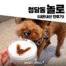 KNOLLO(놀로) | [청담 애견카페] 설채현수의사님이 있는 놀로 스퀘어 knollo 방문 후기