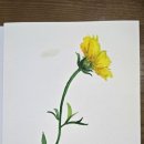 보태니컬아트 이미지