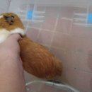 만수목욕탕 이미지