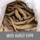 주경야덕 | 더덕 손질해서 더덕고추장무침 맛있게 만드는 방법