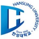 한성컨설팅 이미지