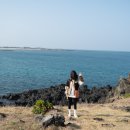 종달구경 이미지