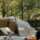 이모션 짐 | 시설좋은 서울근교캠핑장 용인 파이브이모션 캠핑장 단풍캠명소 | 사이트 추천 솔직후기