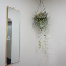 문흥동 1002-1 이미지