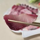 정현횟집 | 인천 연안부두어시장 방어 내돈내산 정현상회 후기 (feat. 인어교주해적단)