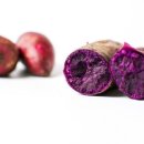 동래슈퍼 이미지