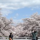 명소 이미지