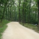 수원-0144 | 융릉 건릉 능(화성 병점)