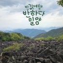 수정주유소 | 반하다밀양 정산 신청 | 승인 거절 후 수정하고 하루만에 정산받은 후기