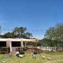 눈보뛰 프리미엄 이미지