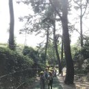 송수초등학교병설유치원 이미지