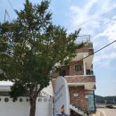 자작도 하우스 이미지