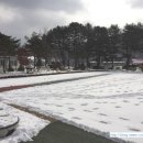 면온초등학교 이미지