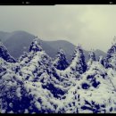 월천농장 이미지