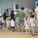 제주 스카이워터쇼 이미지