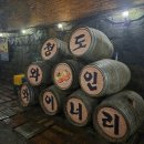 와인터널 | [청도 여행] 여름에도 가기 좋은 와인터널 방문 후기!