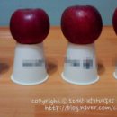 박종묵농장 네이버블로그