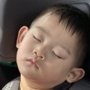 서초서울마더스성형외과의원 이미지