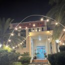 꿈에본꽃돼지 이미지