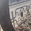 강청수변공원 | 추위를 날려버린 순천 파크골프장 라운드