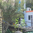 가마솥서울깍두기 | 거창 곰탕 맛집 가마솥 장작불 서울깍두기