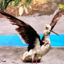 갯지렁이 전시관 이미지