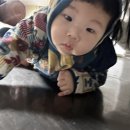 롯데리아 감만 이미지