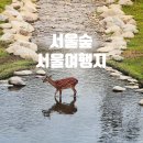 서울숲 곤충식물원(내부) 화장실 | 서울 여행 코스 추천 걷기만 해도 좋은 서울숲 산책길