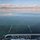 고흥바다하우스 이미지