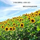 708고시텔 - 5463 | 708고시텔