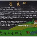 제28차 거제도 "공곶이 수선화 길" 트레킹 안내 이미지