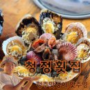 청정횟집 | 《청정횟집》 - 보령 무창포맛집 단체식당 추천! 조개구이 활어회 세트 후기