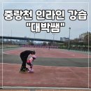 안평초교 | 강습 대박쌤한테 배워보세요~☆ 장안동 중랑구 동대문구 인라인 장평초 안평초 동답초 동대문구민체육센터