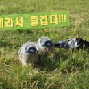 한강태권도장 이미지