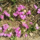 축구센터 산책로 이미지