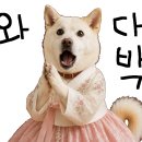 빽다방대구 - 중구 대봉로 222 | 빽다방대구