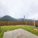 박달림3 이미지