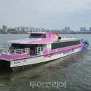 (주)아리랑투어써비스 이미지