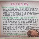 퇴골오리숯불구이홍천본점 네이버블로그