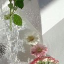 철길부산집검단 네이버블로그