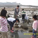 미원초등학교 이미지