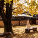행정용 62 | 고대~조선까지의 주요 행정·정치 기구 총정리 한국사 공무원데일리