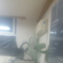 옥성초등 병설 이미지