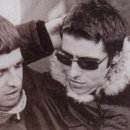 오아시스 이미지