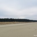 대박칼국수 네이버블로그