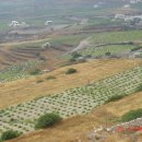 프로피티 이미지