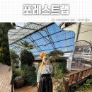 성혜기획 | 나주 신상카페 포레스트랩 후기