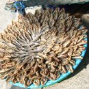 풍년건어물 이미지