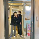 더메리어 이미지