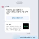 솔방울살롱 | W16. 솔방울살롱 노을공원 웨딩 촬영 메이크업 예약 성공 후기